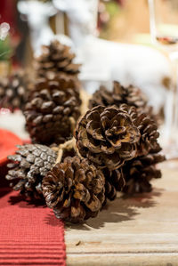 Close-up of pine cone on table