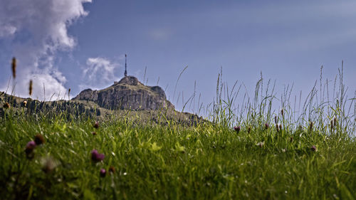 Panoramic shot of grass on field against sky