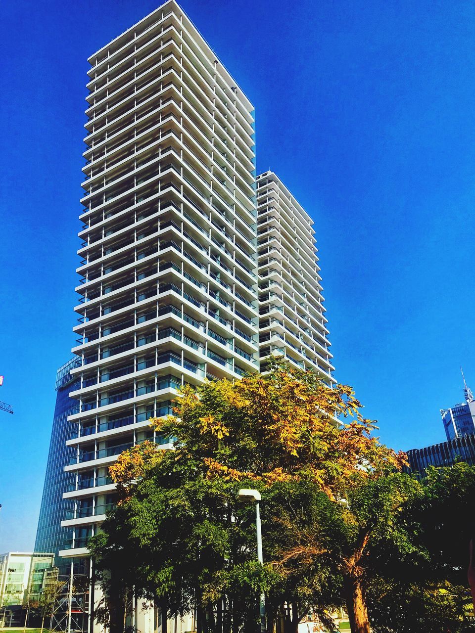 building exterior, architecture, built structure, city, building, office building exterior, low angle view, sky, modern, skyscraper, tall - high, office, plant, tree, no people, nature, tower, day, blue, clear sky, outdoors, financial district