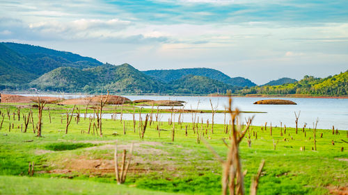 Scenic view of lake against sky