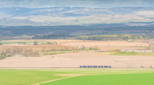 Scenic view of agricultural field