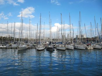 Sailboats moored in harbor