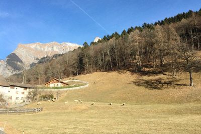 Panoramic view of landscape against blue sky