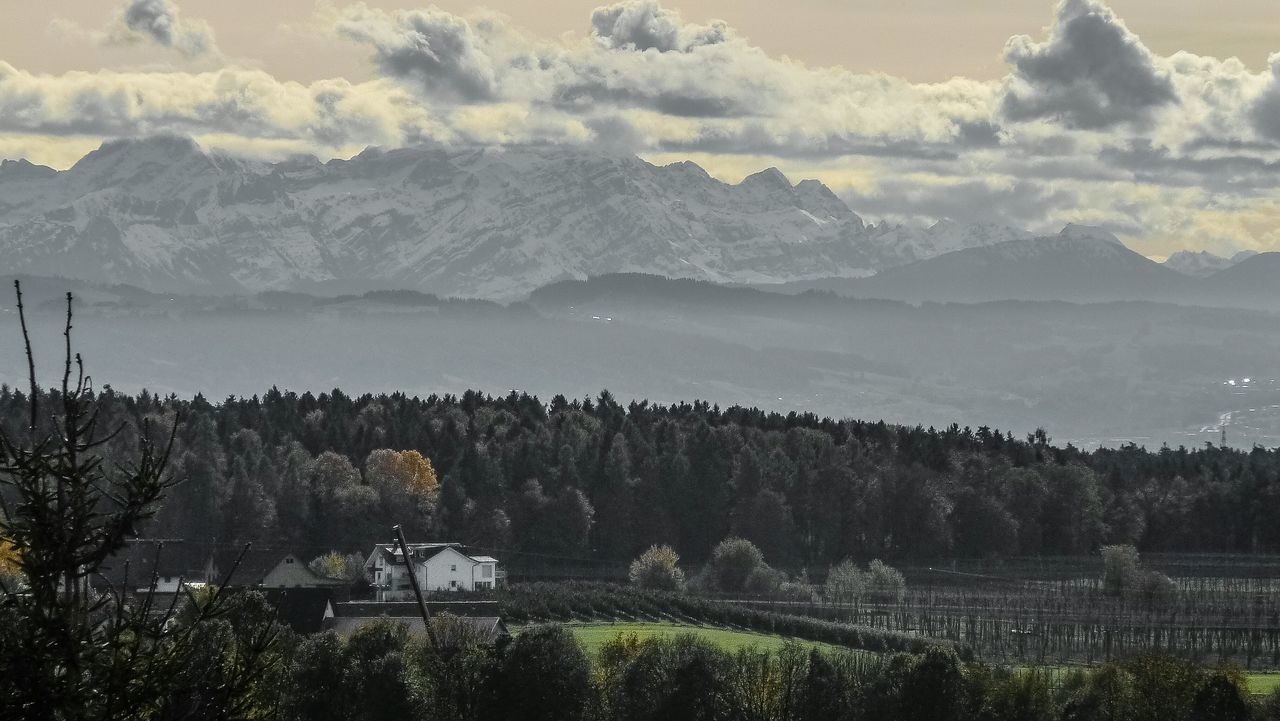 SCENIC VIEW OF FIELD AGAINST MOUNTAINS