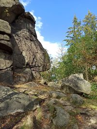 Low angle view of rock formation amidst trees against sky