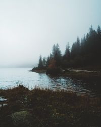 Scenic view of lake in forest against clear sky