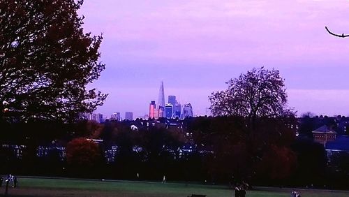 Trees in city