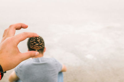 Optical illusion of cropped hand holding pine cone on man head