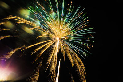 Low angle view of firework display at night