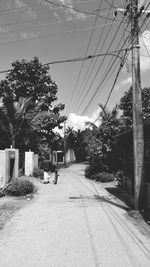 Street by trees against sky in city