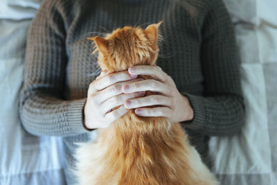 Full length of a hand holding cat