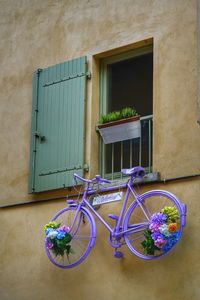 Purple flowers on bicycle