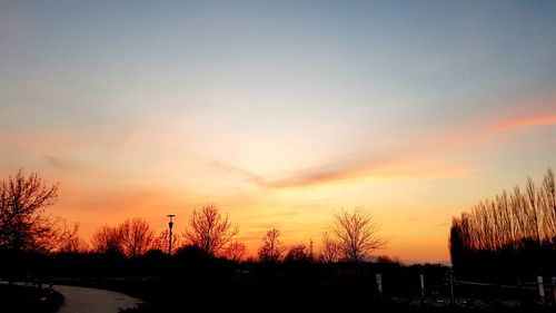 Silhouette bare trees on field against sky at sunset