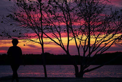 Silhouette person standing by bare tree against sky during sunset