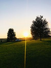 Trees on field against sky during sunset