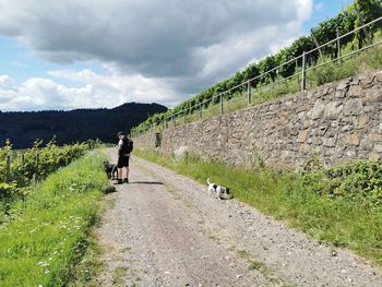 Rear view of people riding horse on road