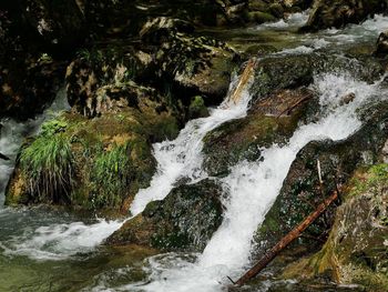 Scenic view of waterfall in forest