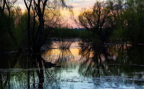 Reflection of trees in lake at sunset