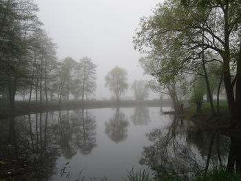 Scenic view of lake by trees against sky