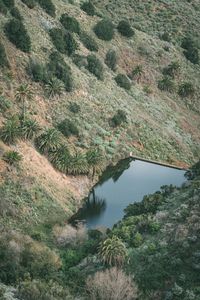 High angle view of river amidst trees in forest