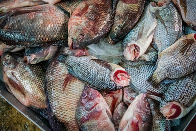 Close-up of fish on the stall for sale in market