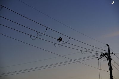 Low angle view of silhouette birds flying against clear sky