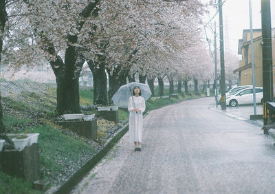 Rear view of woman walking on footpath amidst trees