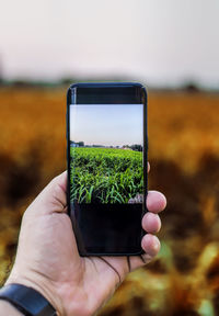 Close-up of hand holding mobile phone