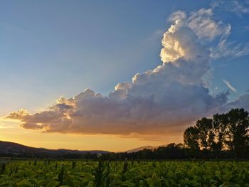 Scenic view of landscape against sky