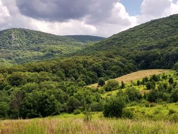 Scenic view of field against sky