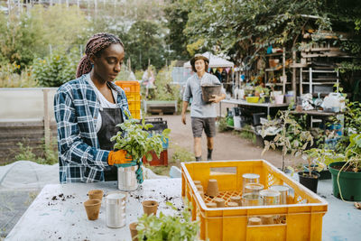 Female environmentalist planting while man walking with container in background at farm