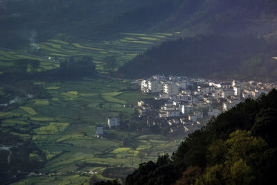 High angle view of townscape and trees on field