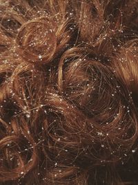 Close-up of snowflakes on brown hair