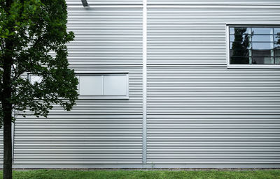 Shadow of tree and shutter