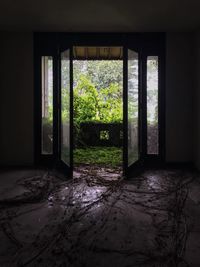 Window of old house