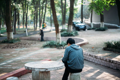 Rear view of man sitting on seat in park