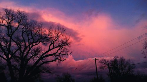 Silhouette of tree against dramatic sky