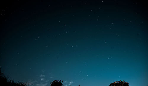 Low angle view of silhouette trees against star field at night