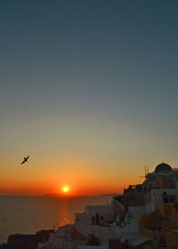 Silhouette of birds flying over sea at sunset