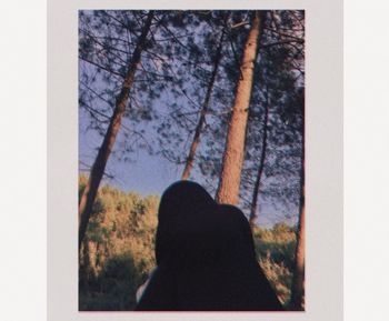 Rear view of woman on bare tree