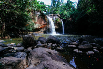 Scenic view of waterfall in forest