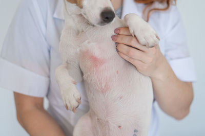 Midsection of woman holding dog