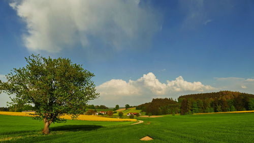 Scenic view of landscape against sky