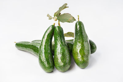 Close-up of green pepper against white background