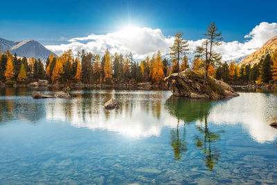 Scenic view of lake by trees against sky
