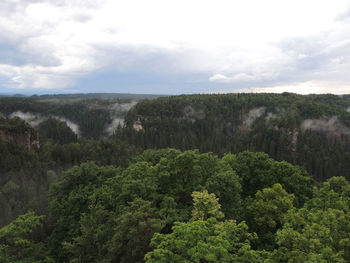 High angle view of trees on landscape