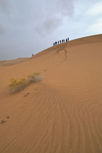 1028 tourists atop a sand dune-badain jaran desert-foot trails on the floor. inner mongolia-china.