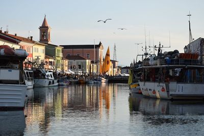 Sailboats moored in harbor