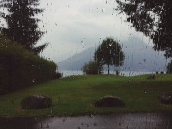 Trees on field against cloudy sky