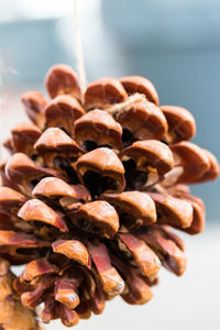 Close-up of roasted coffee beans on table